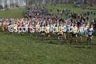 Boys under-13s 2016 Inter Counties Cross Country Champs. and Cross Challenge Final, Cofton Park, Birmingham. Photo: David T. Hewitson/Sports for All Pics